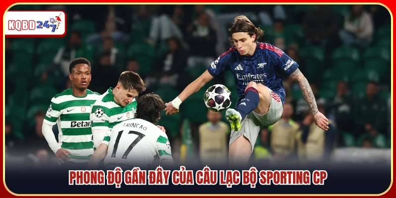 Màn trình diễn thời gian qua của Sporting CP